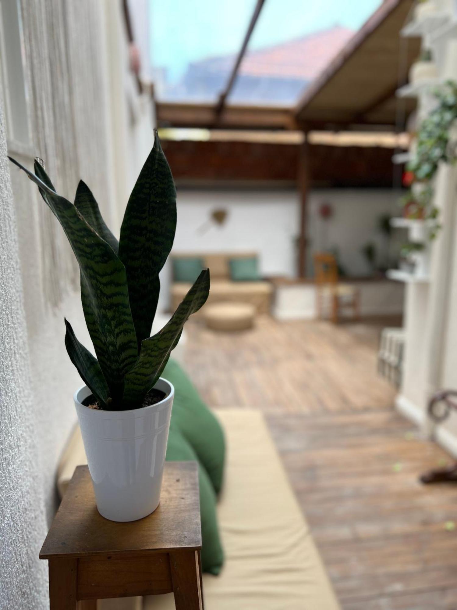 Trip'N'Hostel Chill Zone Tiranë Eksteriør bilde